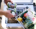Bushman Fridge 35-52L with vegetables